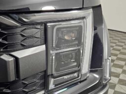 
										2022 Ford F-150 Raptor full									