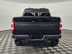 
										2022 Ford F-150 Raptor full									