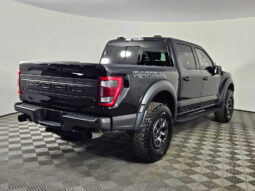 
										2022 Ford F-150 Raptor full									