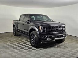 
										2022 Ford F-150 Raptor full									