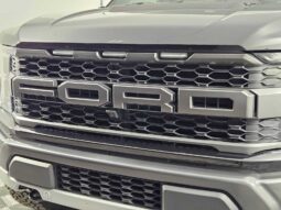 
										2022 Ford F-150 Raptor full									