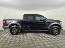 
										2022 Ford F-150 Raptor full									
