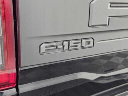 
										2022 Ford F-150 Raptor full									