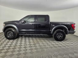 
										2022 Ford F-150 Raptor full									